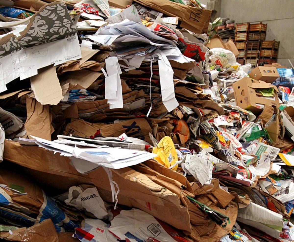 Raccolta differenziata in Sicilia, grandi città ancora in ritardo - 