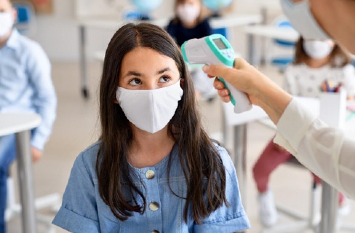 "La scuola in Sicilia è un luogo sicuro", solo lo 0,5% di positivi su 218 mila tamponi - 