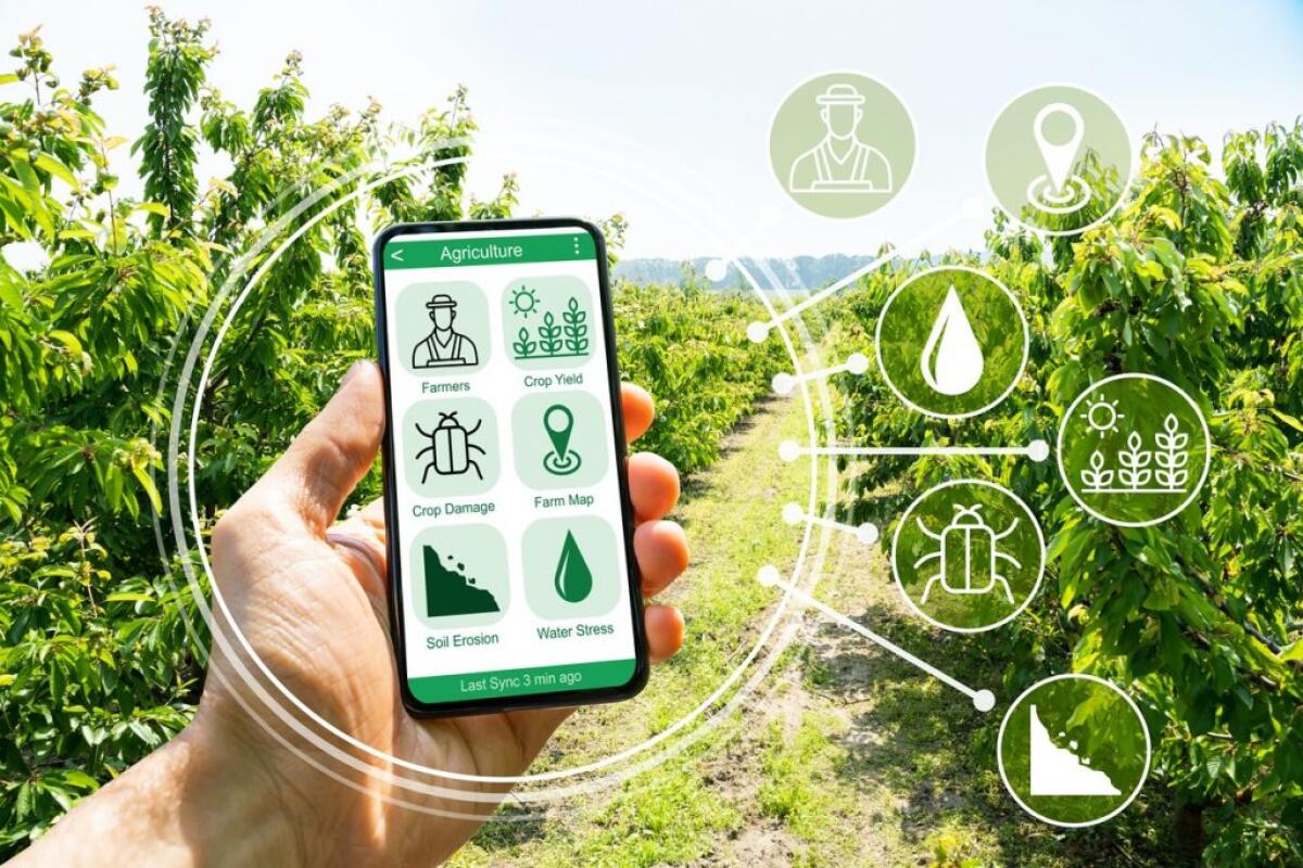 Venture capital, Enpaia “Puntiamo sull’agritech investendo 15 mln” - 