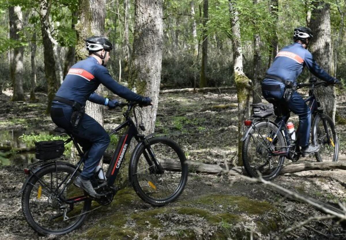 Carabinieri, biciclette elettriche ai reparti nei parchi nazionali - 