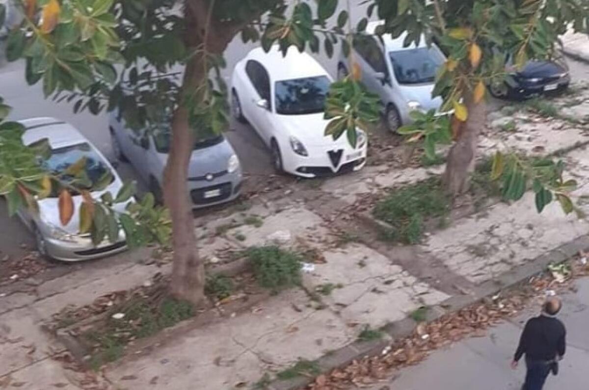 Gli sporcaccioni seriali e piazza Messico dimenticata, arrivano nuove segnalazioni - 