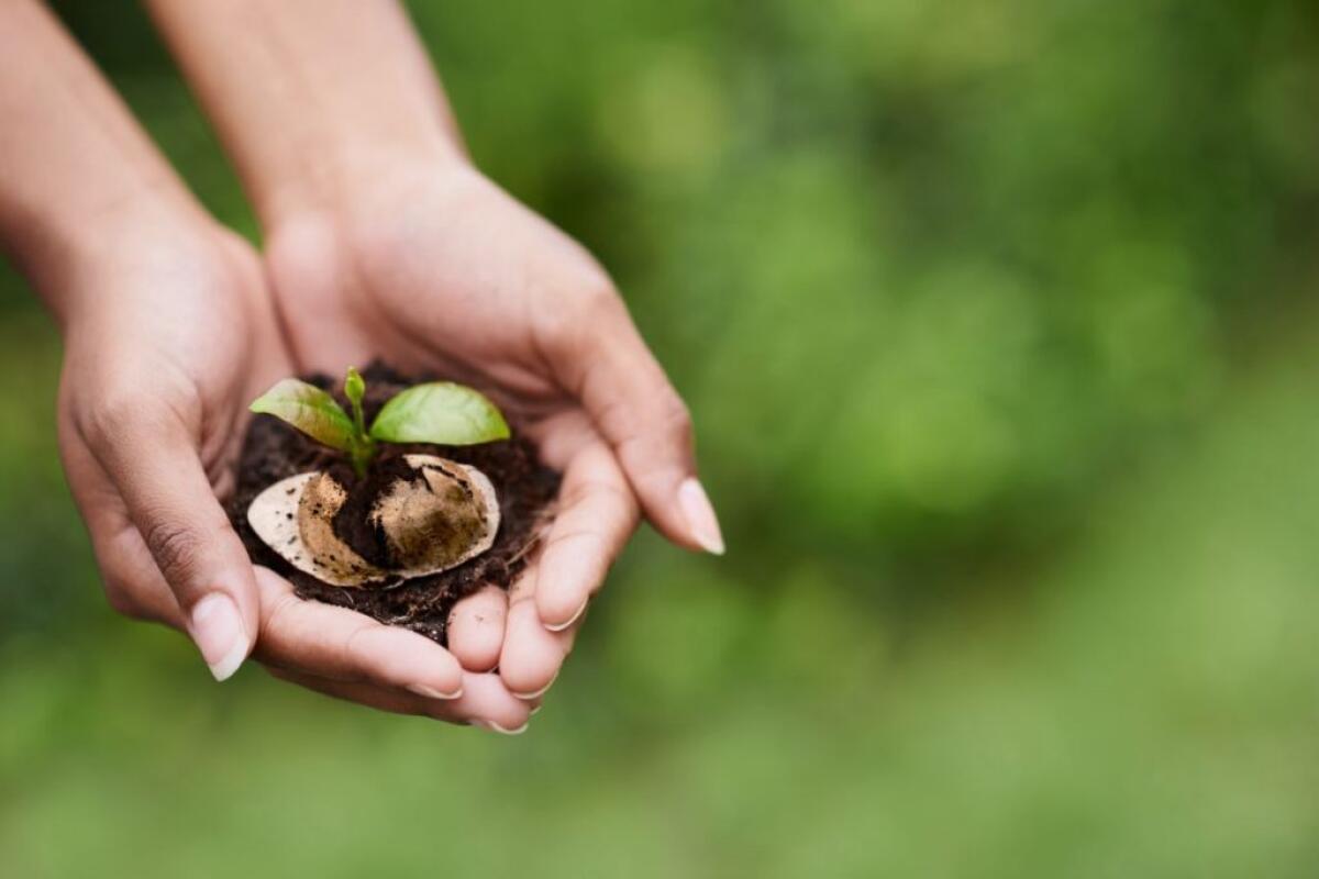 La cialda, per una pausa caffè che rispetta la natura - 