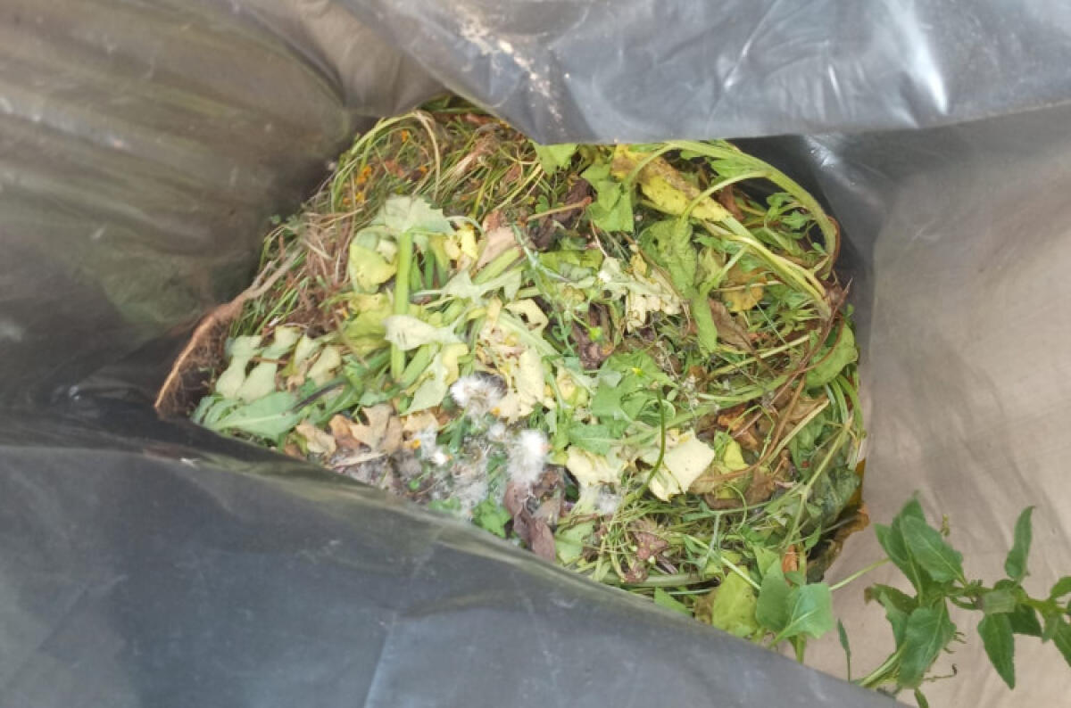 Mancata raccolta in via Sabbioncello, operatori: "C'erano sfalci non previsti" - Per gli operatori di Tekra gli sfalci non possono essere raccolti nel turno dell'indifferenziato