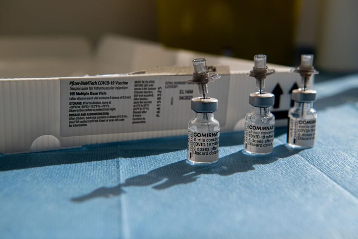 Vaccino, in arrivo alle Regioni 2,2 milioni di dosi Pfizer - 