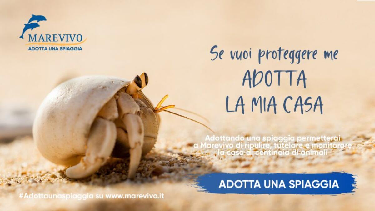 “Adotta una spiaggia”, al via la nuova campagna di Marevivo - 
