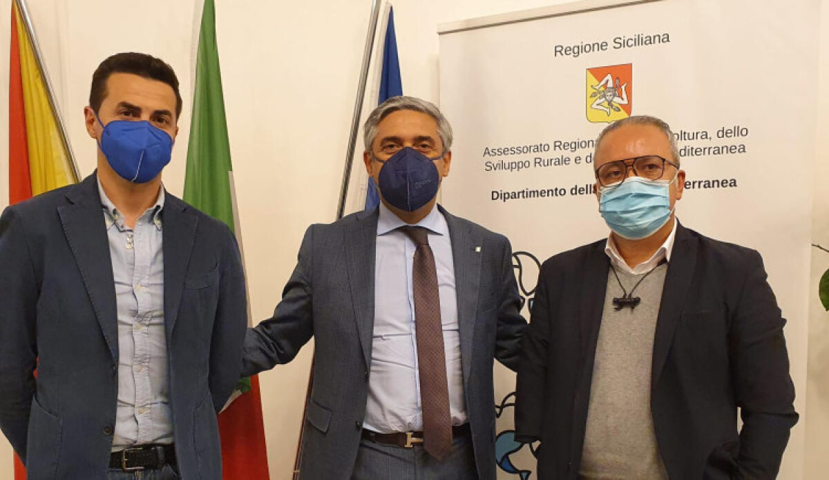 Campagne in crisi, vertice in Regione: Sammito e Malluzzo con Scilla, "reperire fondi" - Sammito e Malluzzo con l'assessore Scilla
