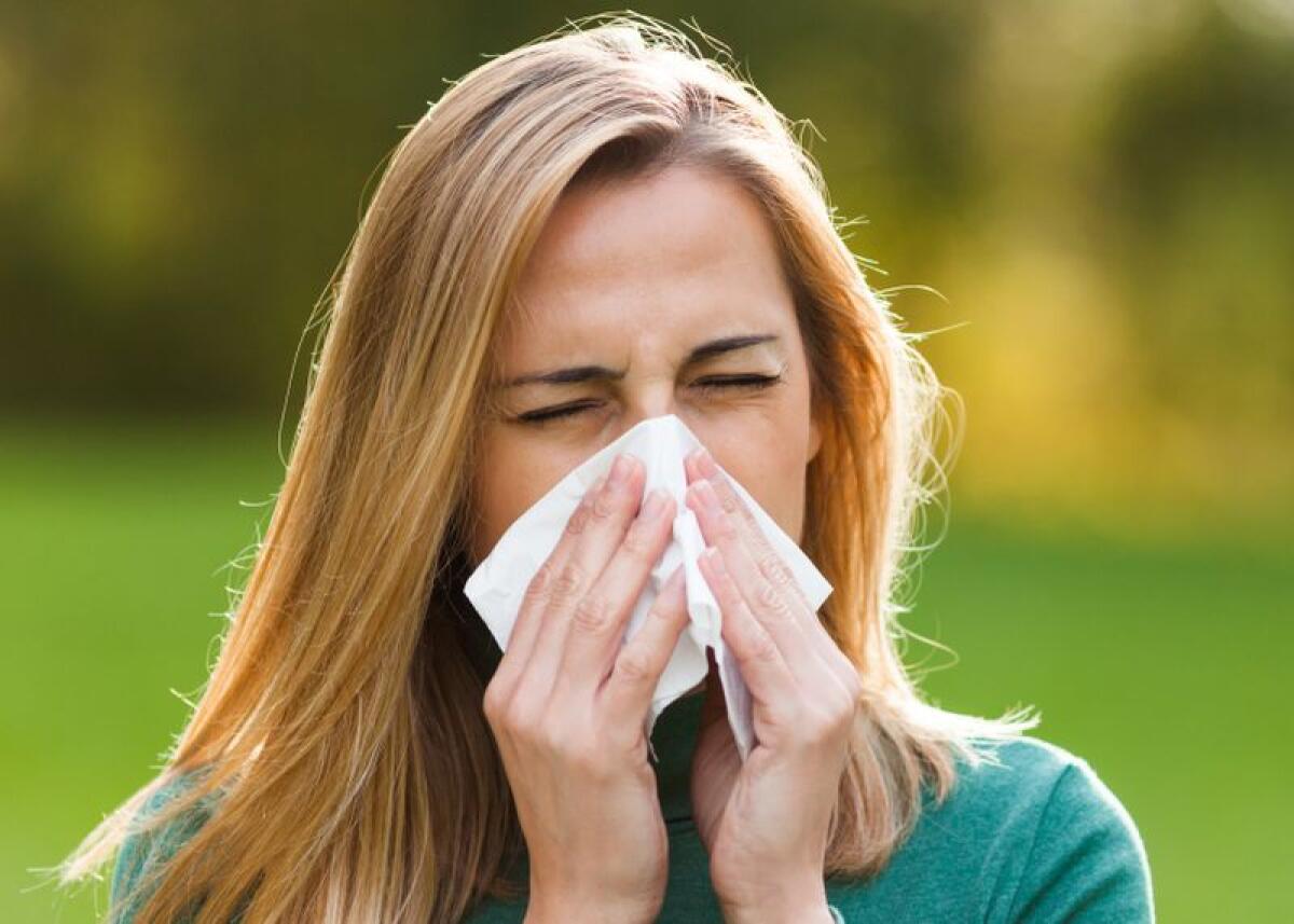 Farmacisti protagonisti in prima linea nella lotta alle allergie - 