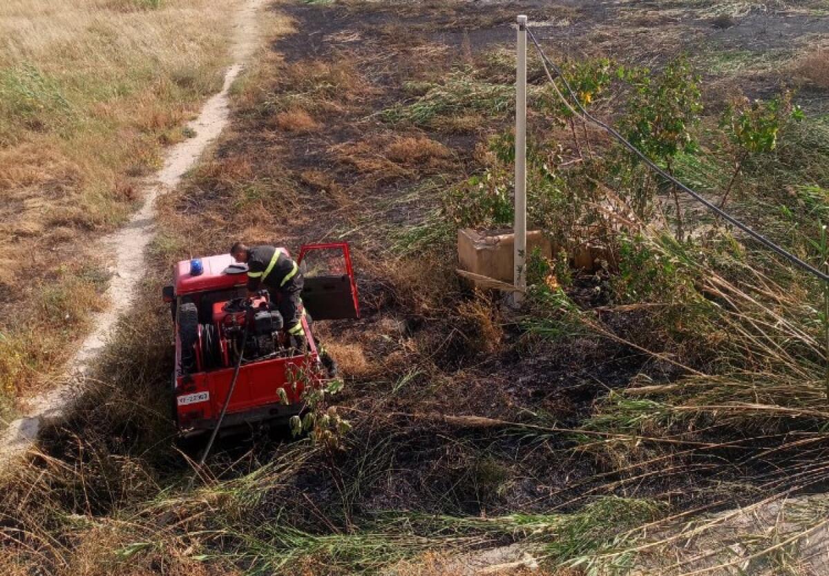 Roghi anche sul lungomare, Greco emette due ordinanze: "Cittadini ci aiutino" - Nel pomeriggio nuovo incendio sul lungomare