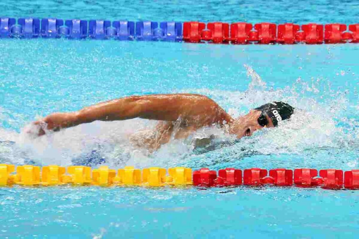 Argento Paltrinieri e tre bronzi agli Europei, Pilato da record -
