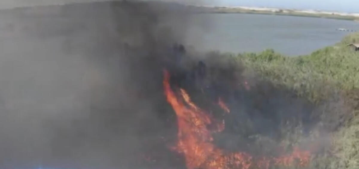 Bloccato fronte del fuoco al Biviere, ora accertamenti: i carabinieri nella Riserva - A maggio il rogo della riserva Biviere è durato per circa ventiquattro ore