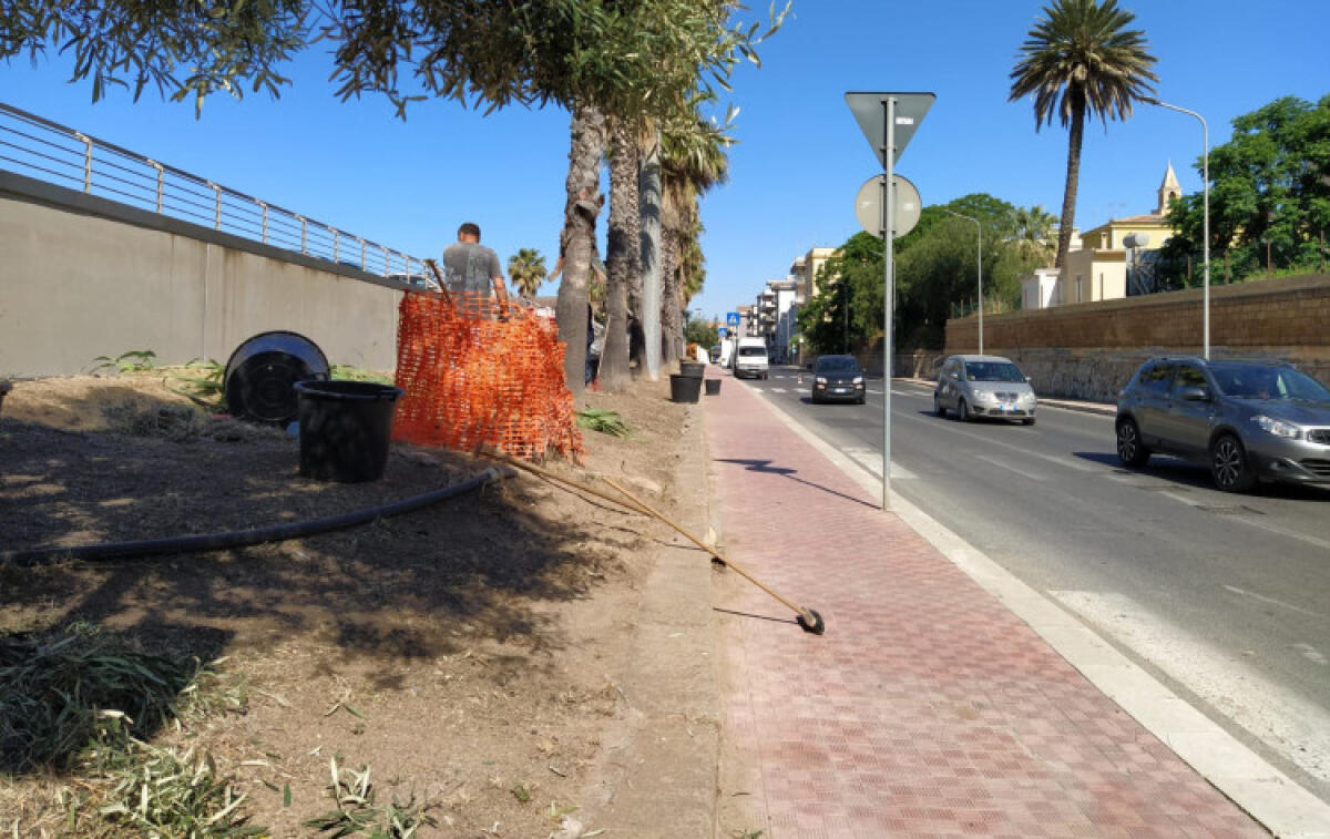 Commissione verifica progetti, Farruggia: "Anomalie su gestione verde anche per Ghelas" - 