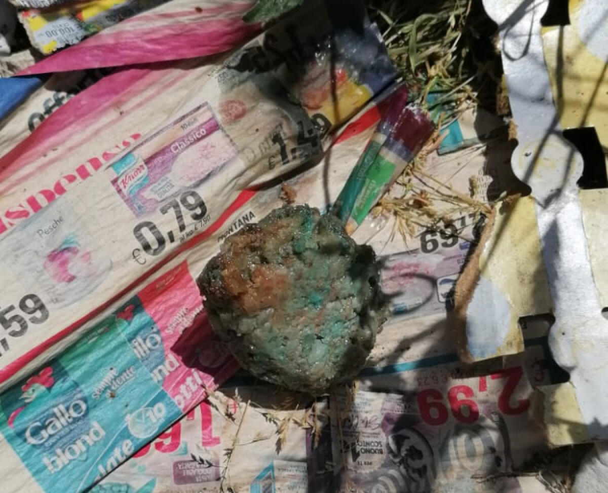 Polpette avvelenate a Caposoprano, allarme dei residenti: pericolo per cani e gatti - 