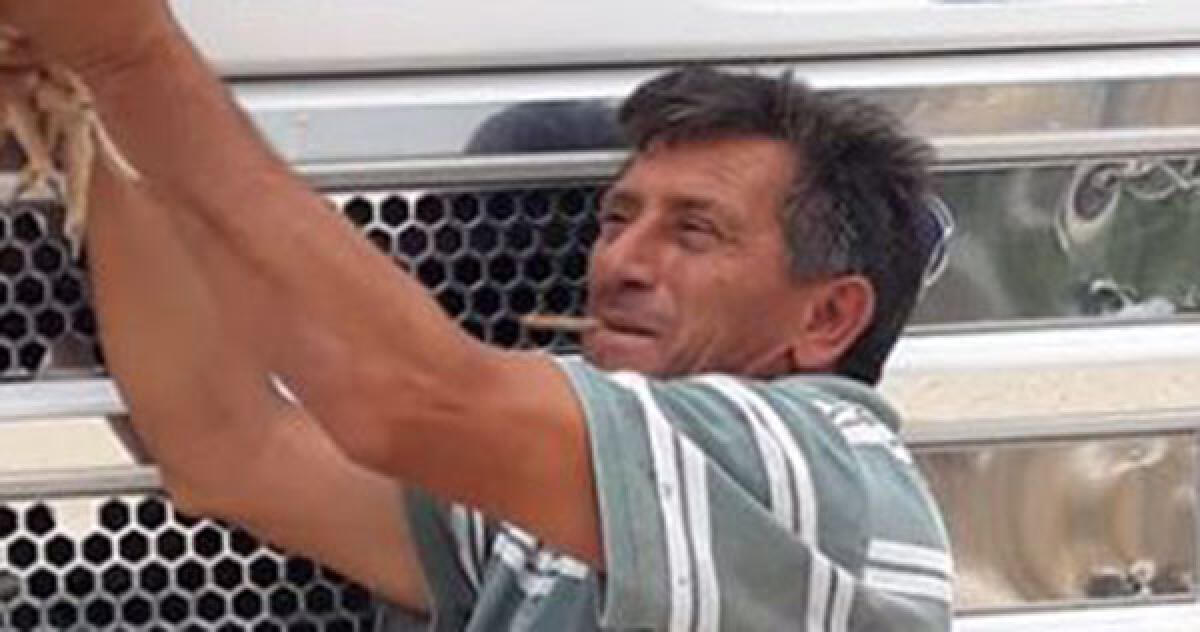 Curvà travolto e ucciso da un trattore, titolare area di carico patteggia a dieci mesi - Curvà fu travolto dal mezzo manovrato dal titolare dell'area