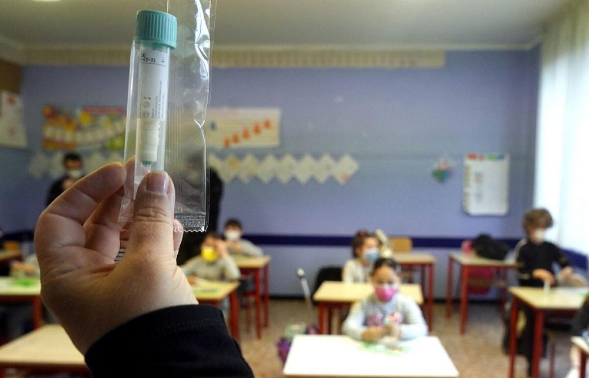 Via libera ai tamponi salivari “Opportunità per screening scolastici” - 