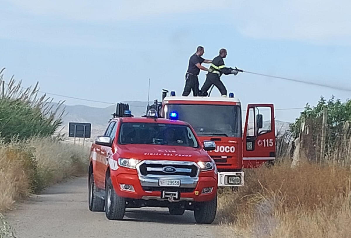 Raccolti devastati dal fuoco, associazione "Santa Maria": "Rischiamo di perdere tutto" - 