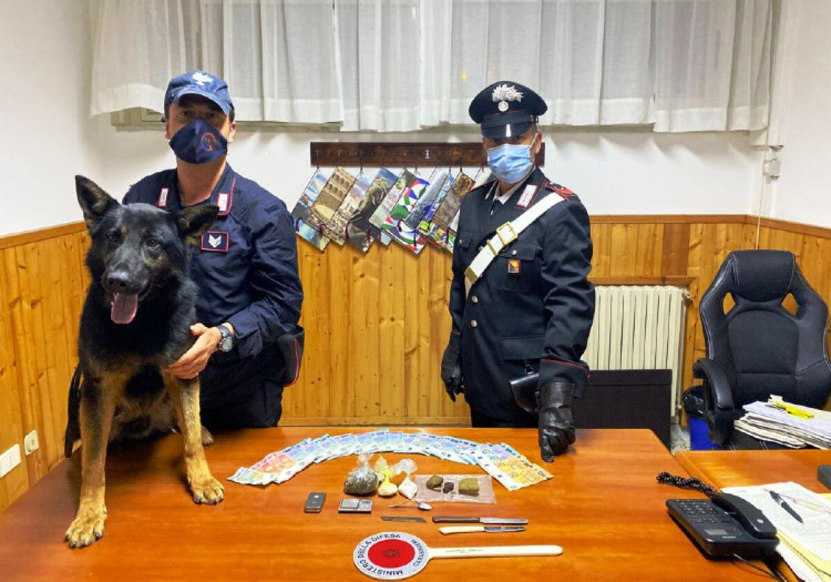 Droga spacciata nel garage di casa, gip conferma domiciliari per un giovane - 