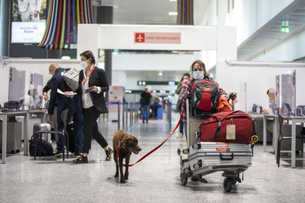 Covid, Commissione UE: no test di viaggio e quarantena per i vaccinati - 