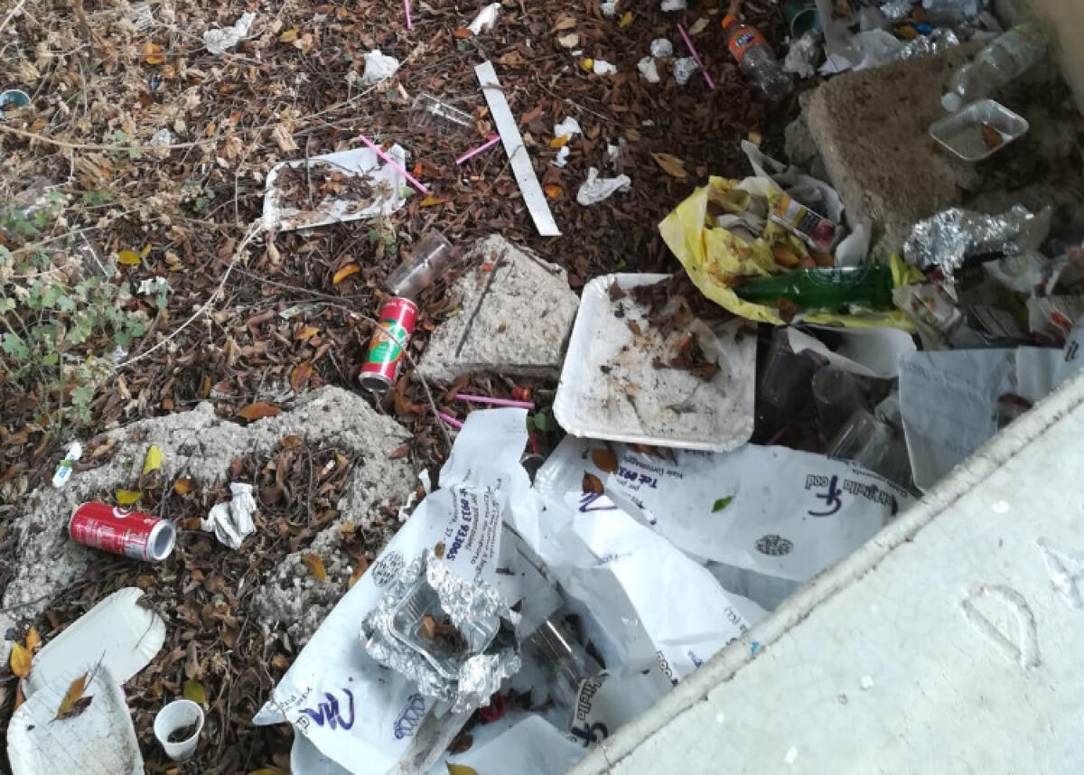 Rifiuti nelle aree verdi di Macchitella, trasformate in pattumiere - Rifiuti lasciati ovunque nelle aree verdi