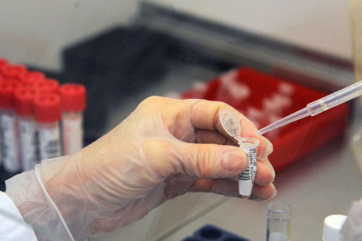 Dieci nuovi casi Covid in città, quindici guariti: un paziente lascia la rianimazione - 