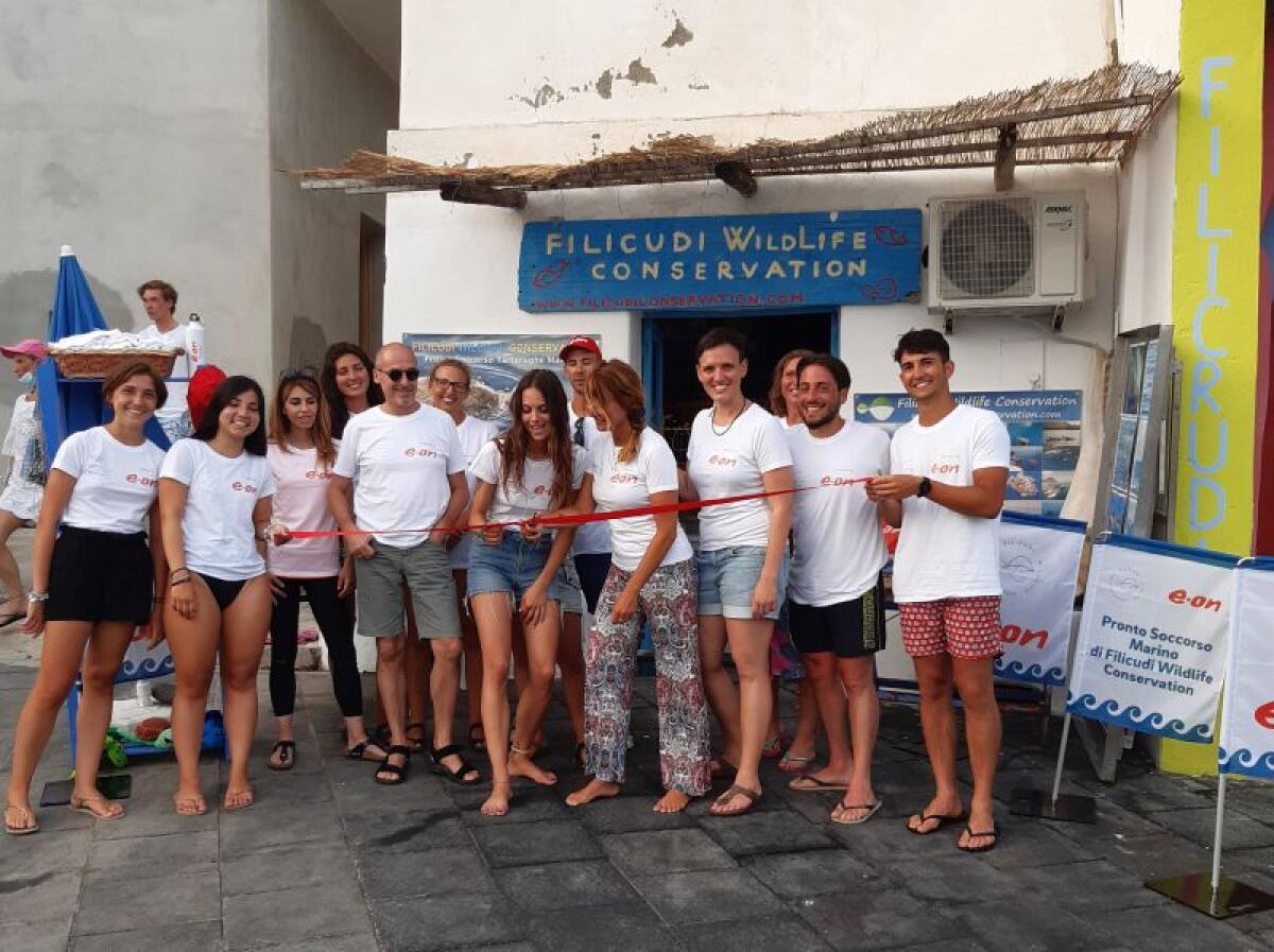 A Filicudi un pronto soccorso per le tartarughe marine - 