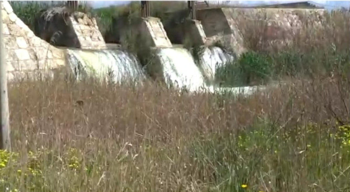 Coltivazioni a rischio, estate senza acqua nelle campagne: Scudera, "politica assente" - L'acqua della diga Disueri spesso viene scaricata in mare