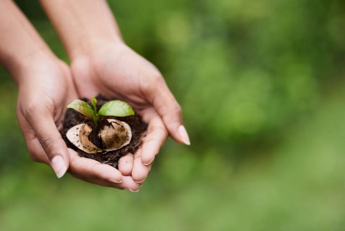 Il caffè espresso napoletano amico dell’ambiente - 