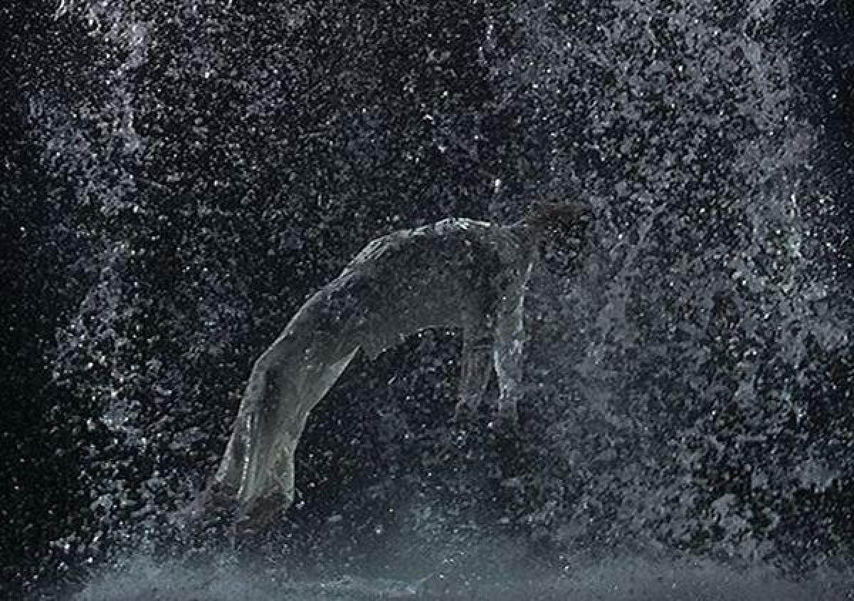 Purification, le opere di Bill Viola a Palazzo Reale di Palermo - 