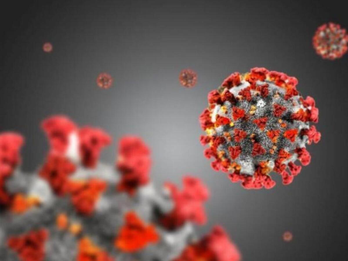 Covid, Istituto Superiore Sanità “in Italia il ceppo Delta sotto l’1%” - 