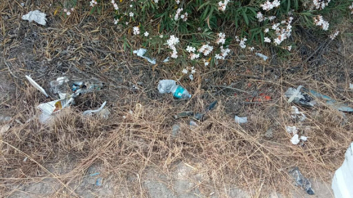 "Pulizia ferma solo all'accesso di Manfria", Catania: "Tanto da fare anche per rifiuti" - Una delle aree incolte della zona balneare