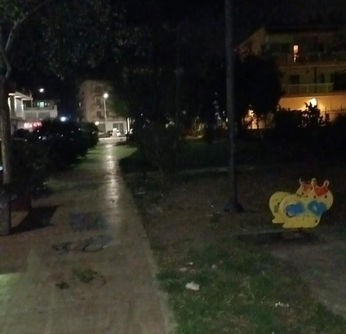 Scarsa illuminazione e area verde non curata, in via Redi anche cavi elettrici scoperti - La zona risente anche di illuminazione non idonea