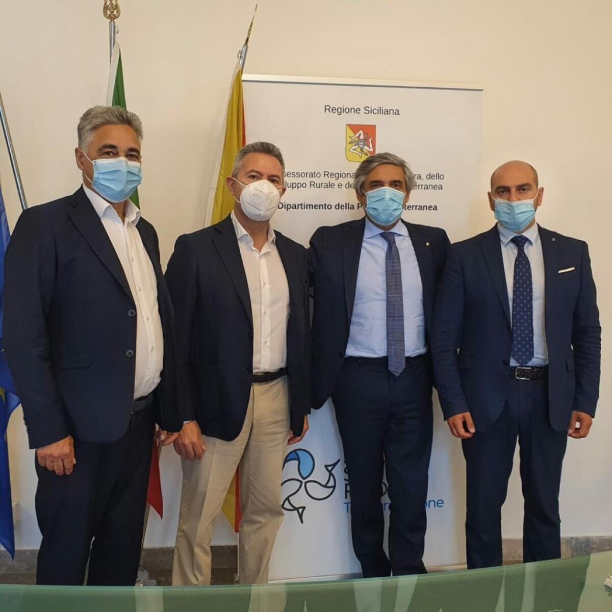 Olio Nocellara dell’Etna, prosegue l’iter per riconoscimento della Dop - 