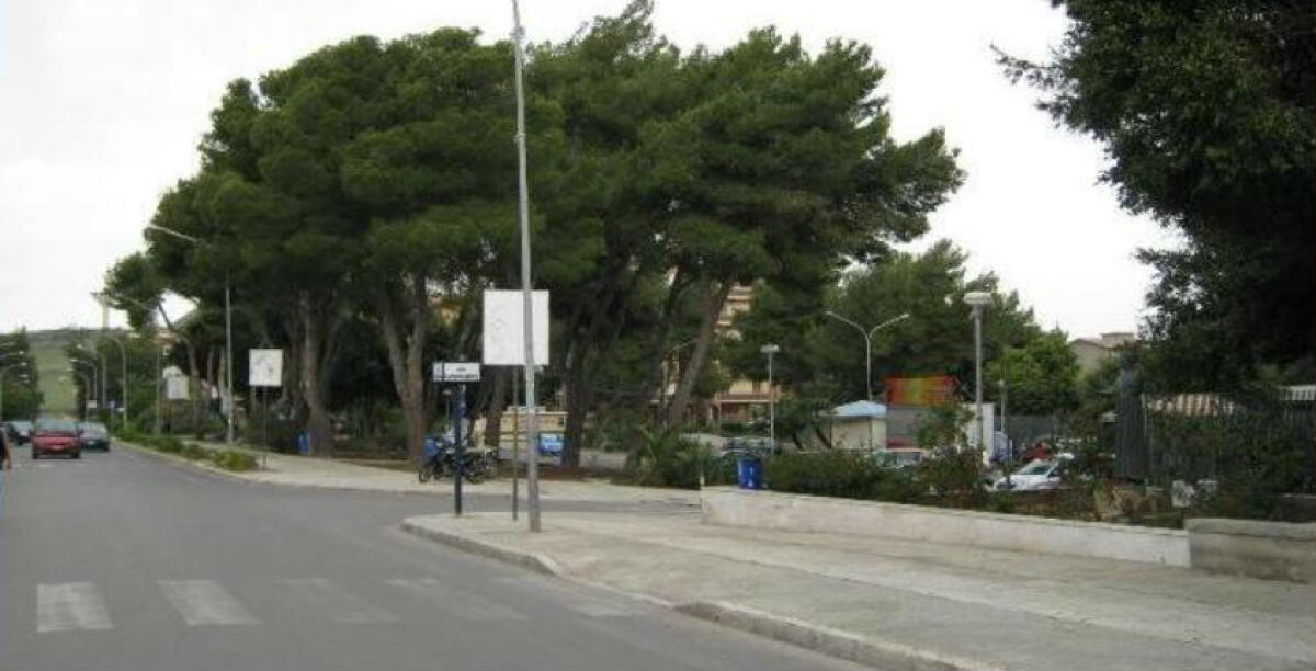 "Macchitella abbandonata", Farruggia: "Su verde valutare responsabilità Ghelas" - 