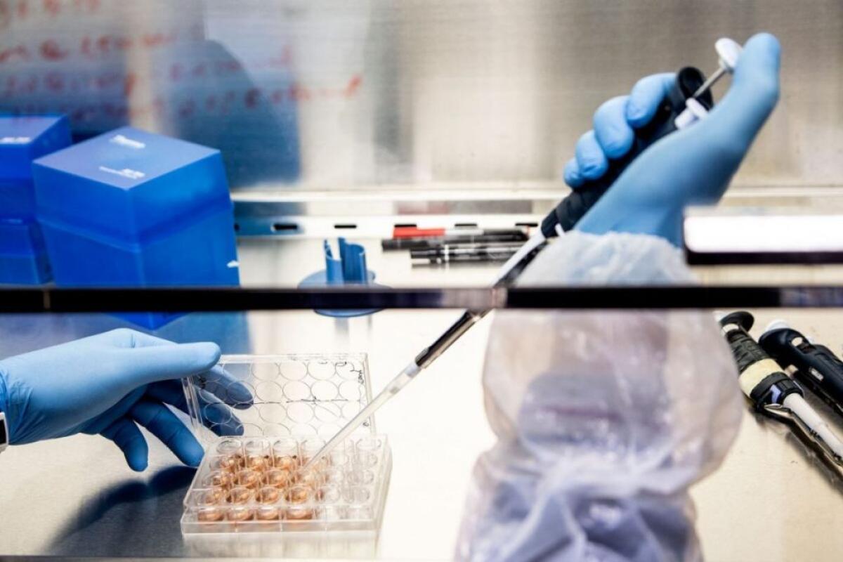 Trentotto nuovi casi Covid in città, 31 guariti: curva totale a 965 positivi - 