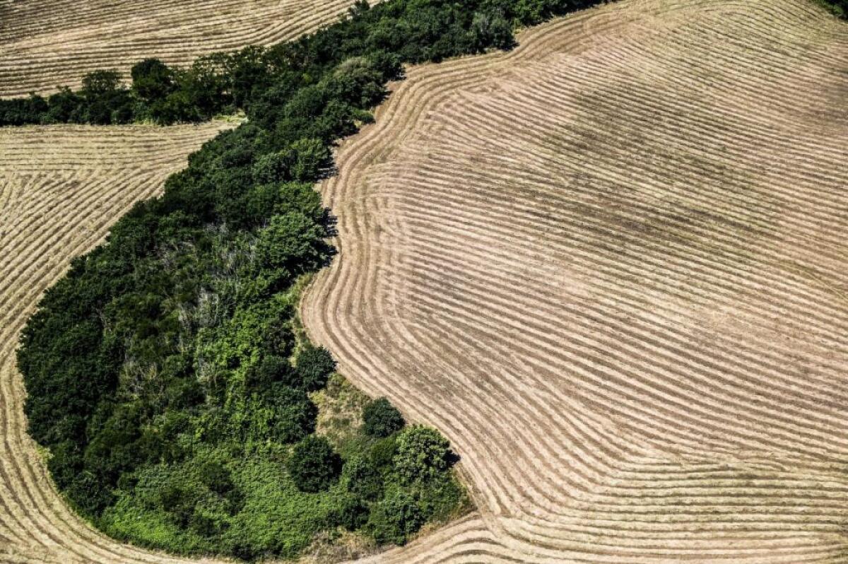 63% mamme italiane pensa che prendersi cura dell’ambiente sia costoso - 