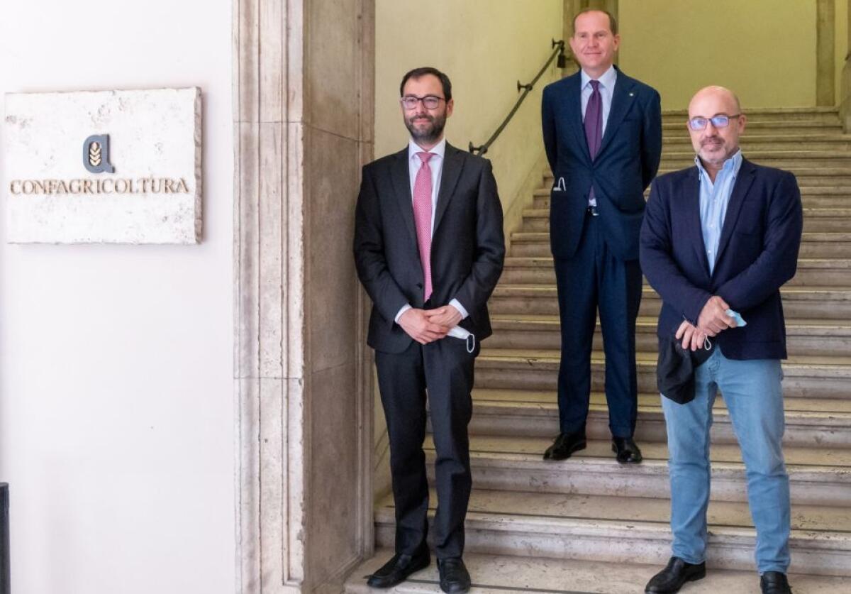 Giansanti “Piano a 10 anni per agricoltura più forte e sostenibile” - 
