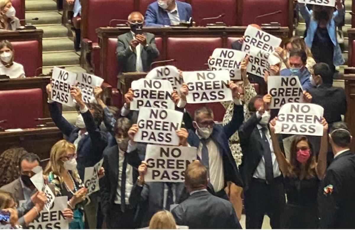 Bagarre sul Green pass alla Camera, seduta sospesa dopo protesta Fdi - 