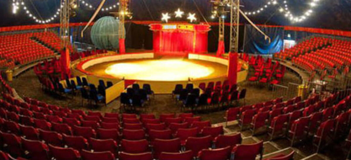 "Pretese biglietti gratis dai titolari di un circo", agente accusato: c'è prescrizione -