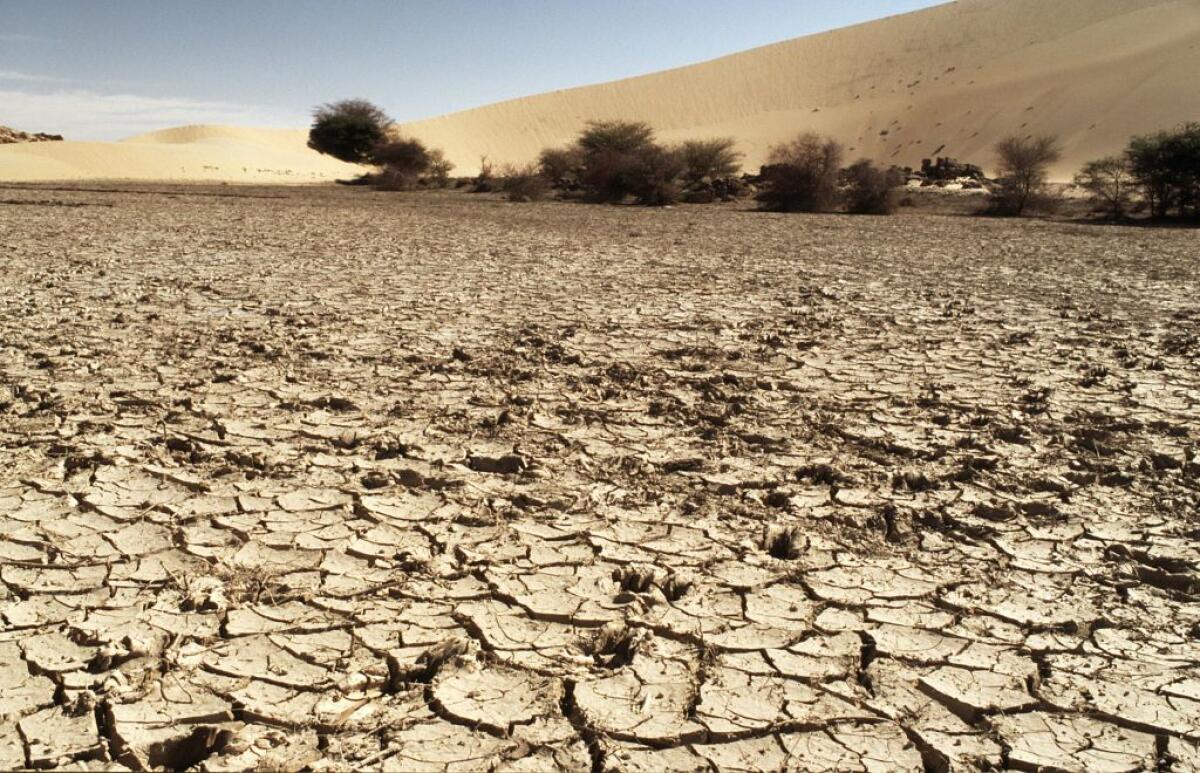 Clima, allarme Onu “Cambiamenti senza precedenti, alcuni irreversibili” - 