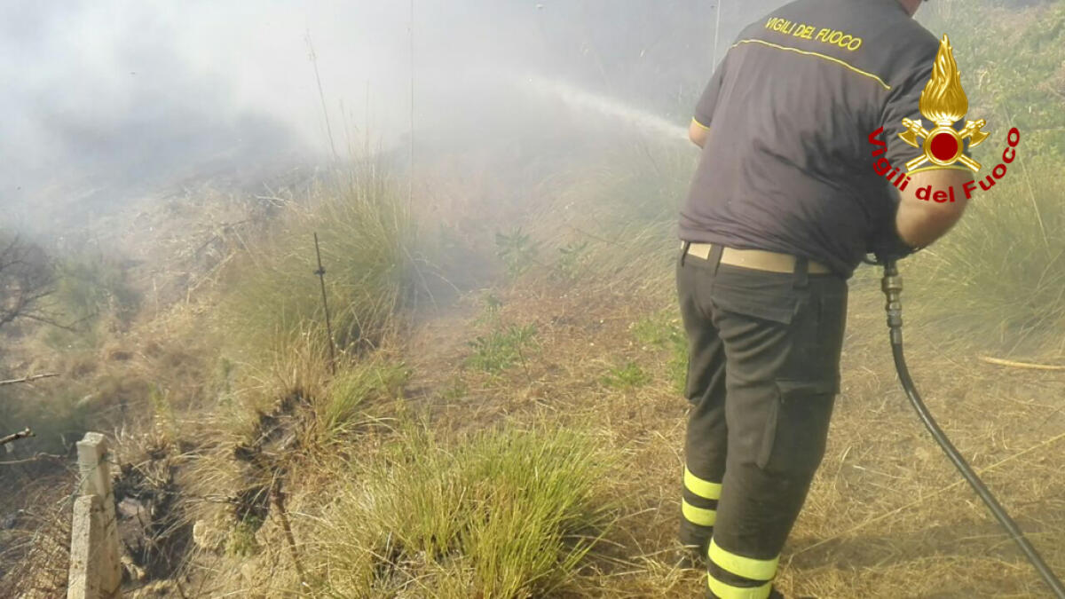 Incendi, ancora fiamme sulle Madonie. Domani Patuanelli a Palermo - 