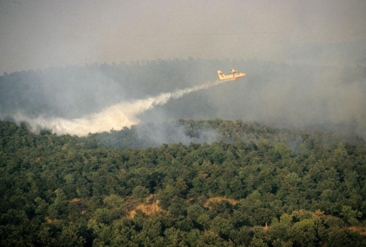 Incendi, in Italia dall’inizio del 2021 bruciati 158mila ettari - 