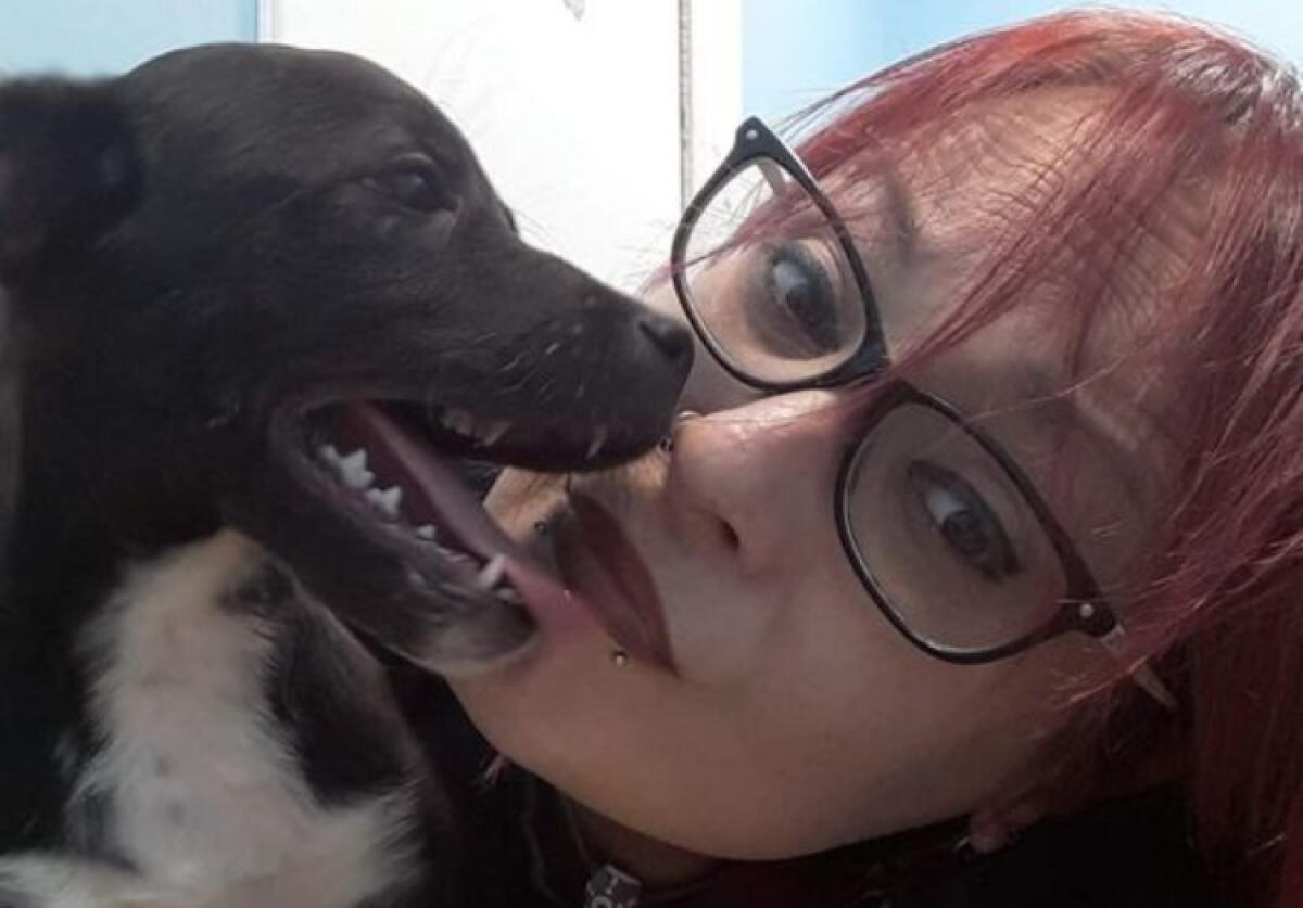 Jessica Platania non ce l'ha fatta, morta la volontaria che aiutava i randagi - Jessica Platania