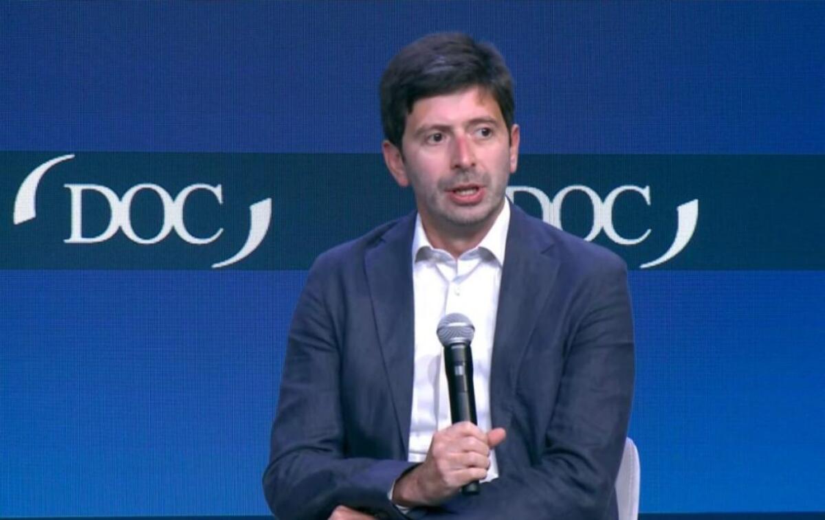Covid, Speranza “Non sprechiamo crisi, bisogna investire su Ssn” - 