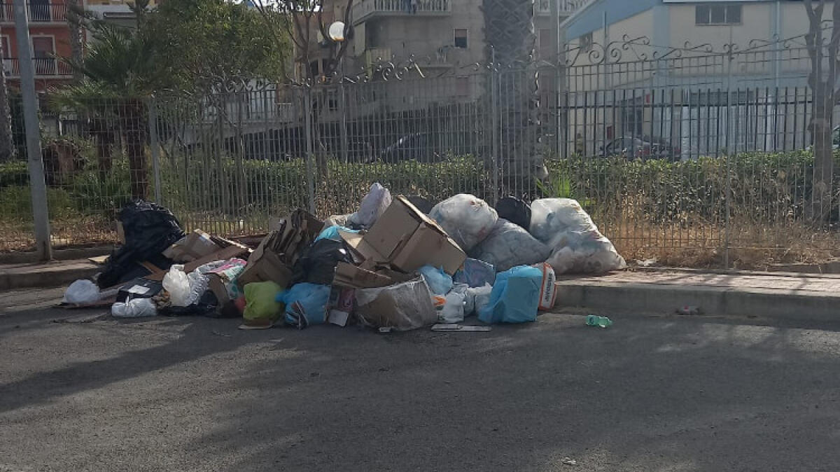 Rifiuti in strada, quelli abbandonati vengono anche dati alle fiamme - I rifiuti in strada