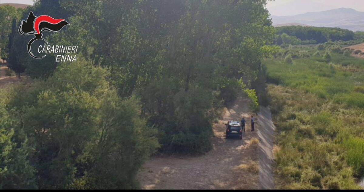 Incendi, allevatori appiccano fuoco sui Nebrodi. Arrestati due piromani - 