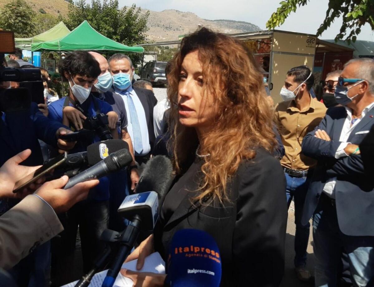 Covid, Stefani “6 miliardi dal Pnrr per sostegno ai disabili” - 