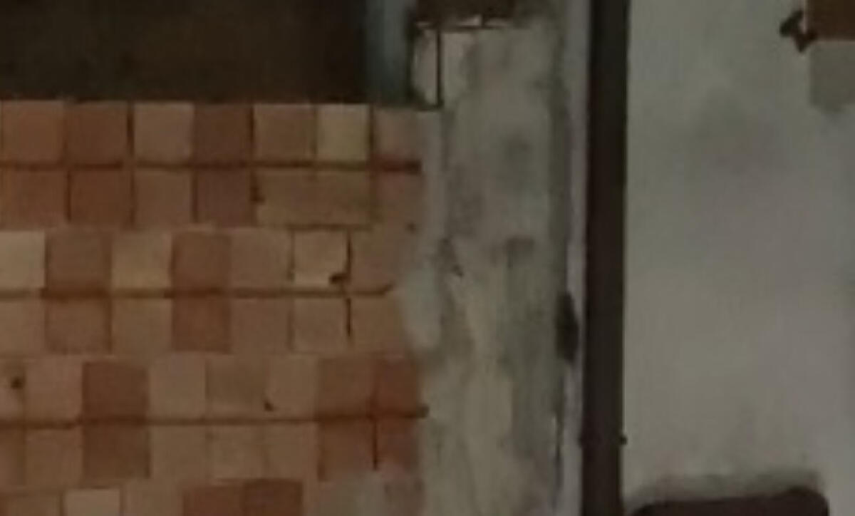 Allarme per topi e ratti nella zona di San Rocco, residenti: "Siamo invasi" - Riescono a raggiungere anche i piani più alti degli stabili