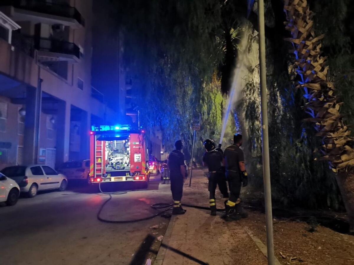 Ancora fiamme in via Ruggero Settimo, palme incendiate: un giovane dietro ai roghi - Ieri sera l'ennesimo incendio