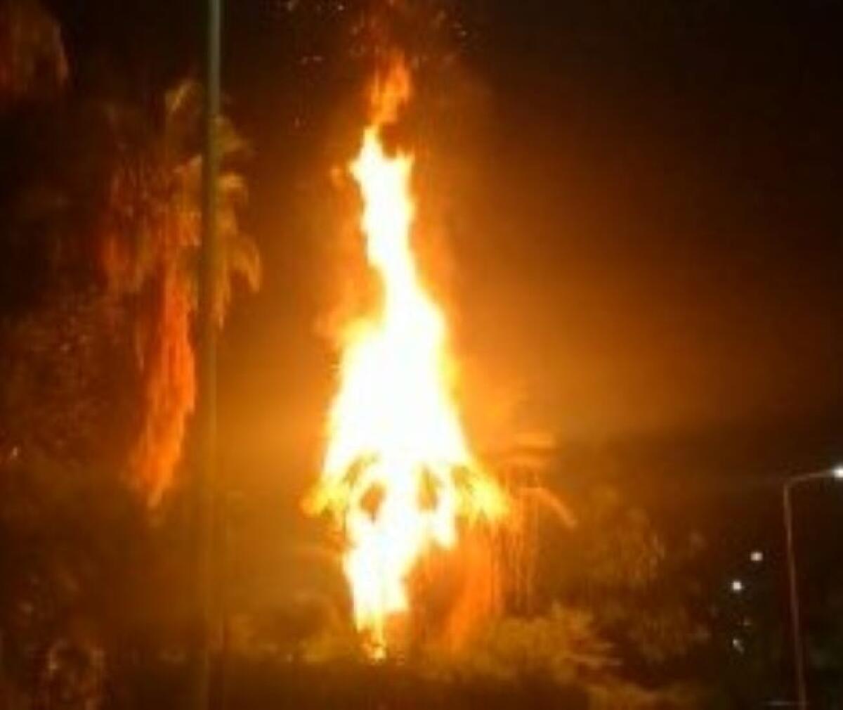 Incendiate le aree verdi, roghi non si fermano: questore, "occorre più collaborazione" - Le fiamme nel giardino di via Eritrea