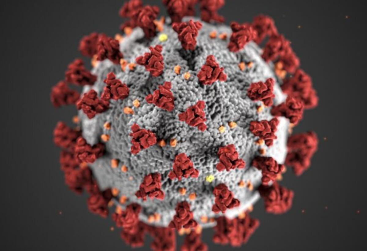 In Sicilia 484 nuovi casi di Covid e 8 decessi, ricoveri in lieve calo - 