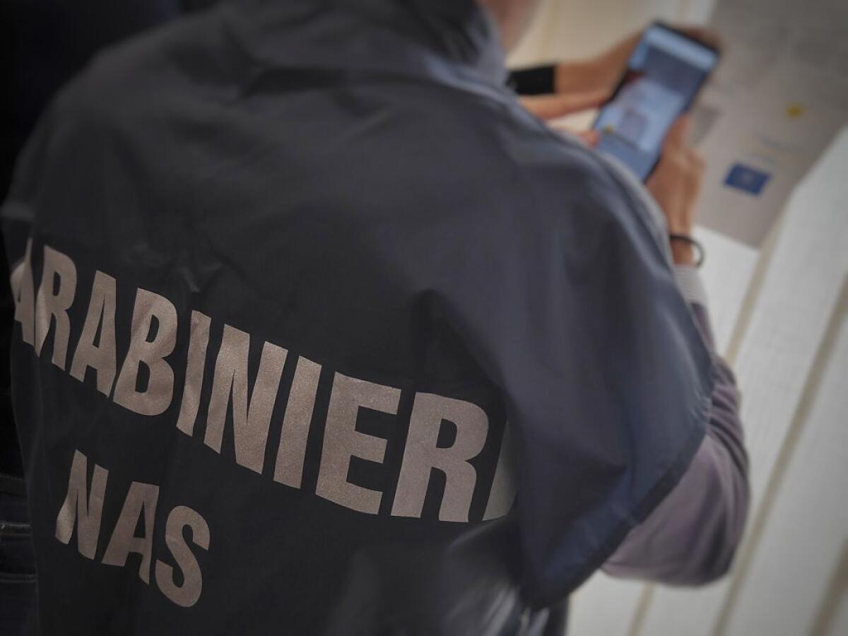 Vaccino, 4 medici denunciati a Catania per esenzioni “facili” - 